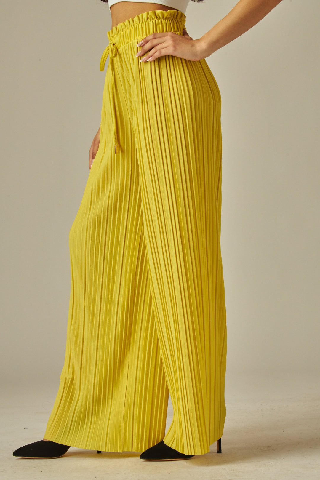 Pleated Paper Bag Drawstring Wide Leg Pants