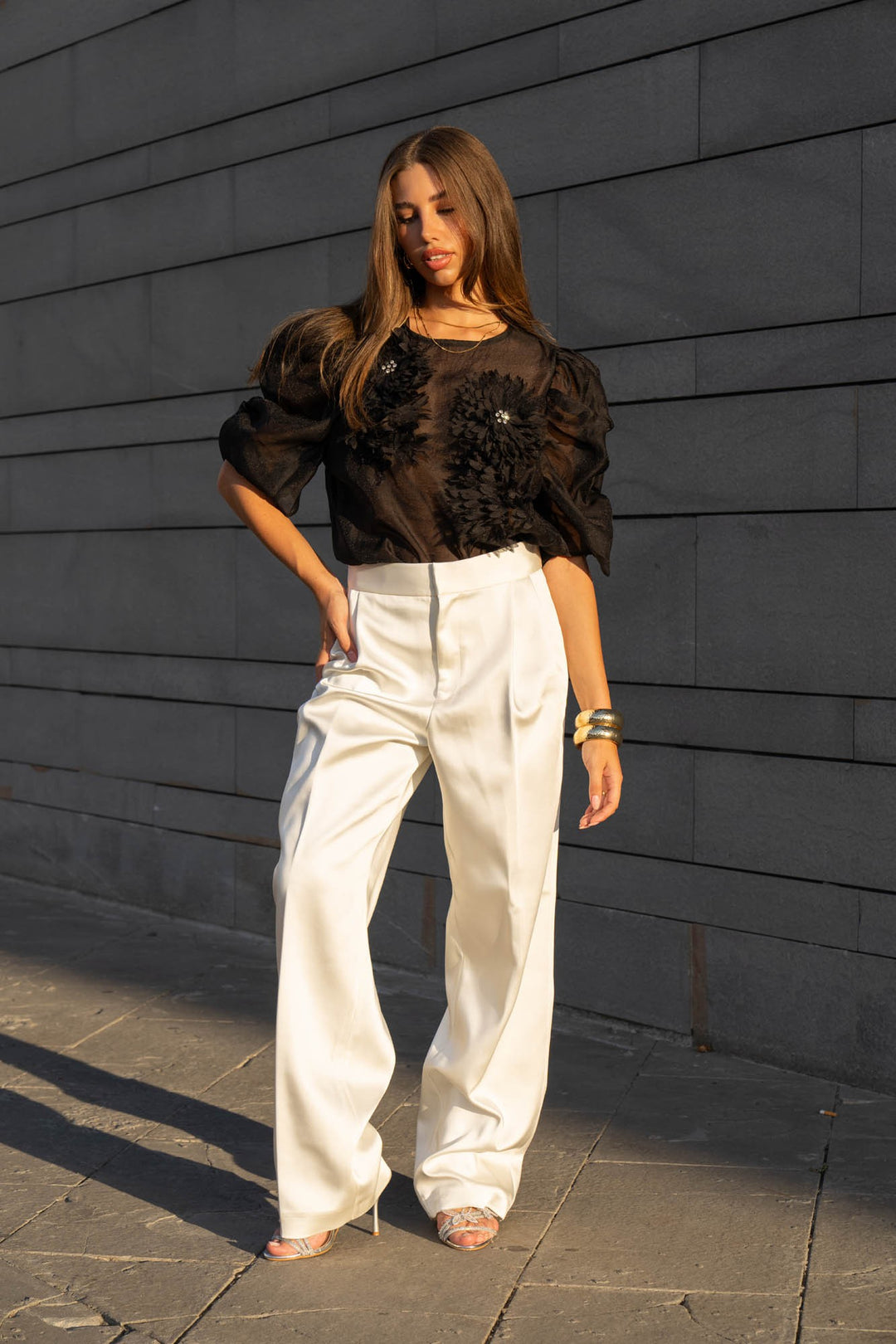 Organza Puff Sleeve Top