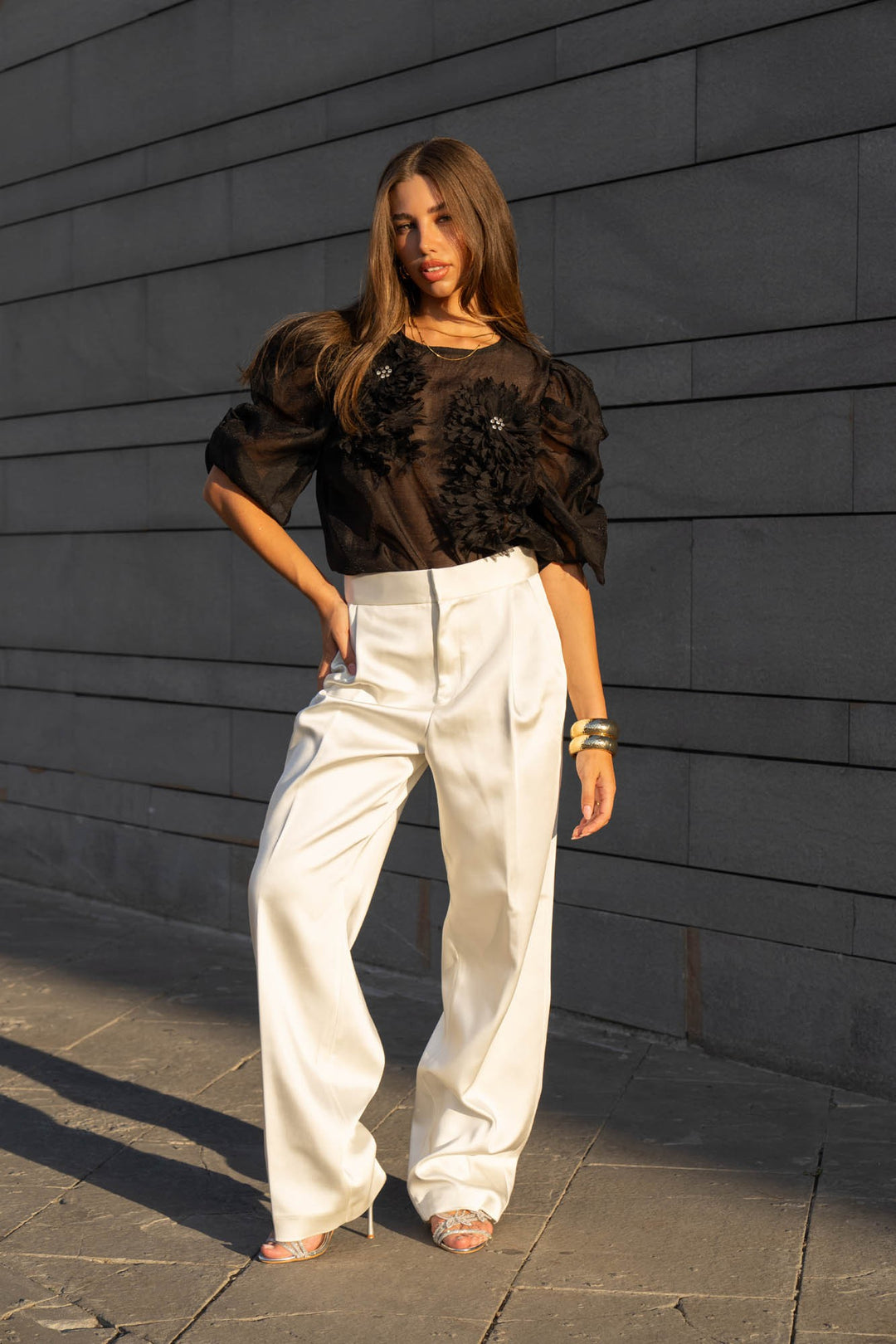 Organza Puff Sleeve Top