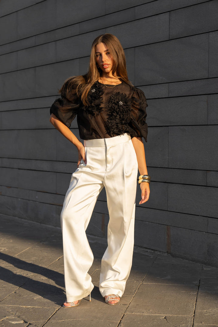 Organza Puff Sleeve Top