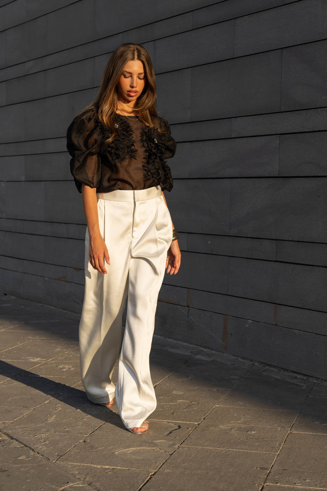 Organza Puff Sleeve Top
