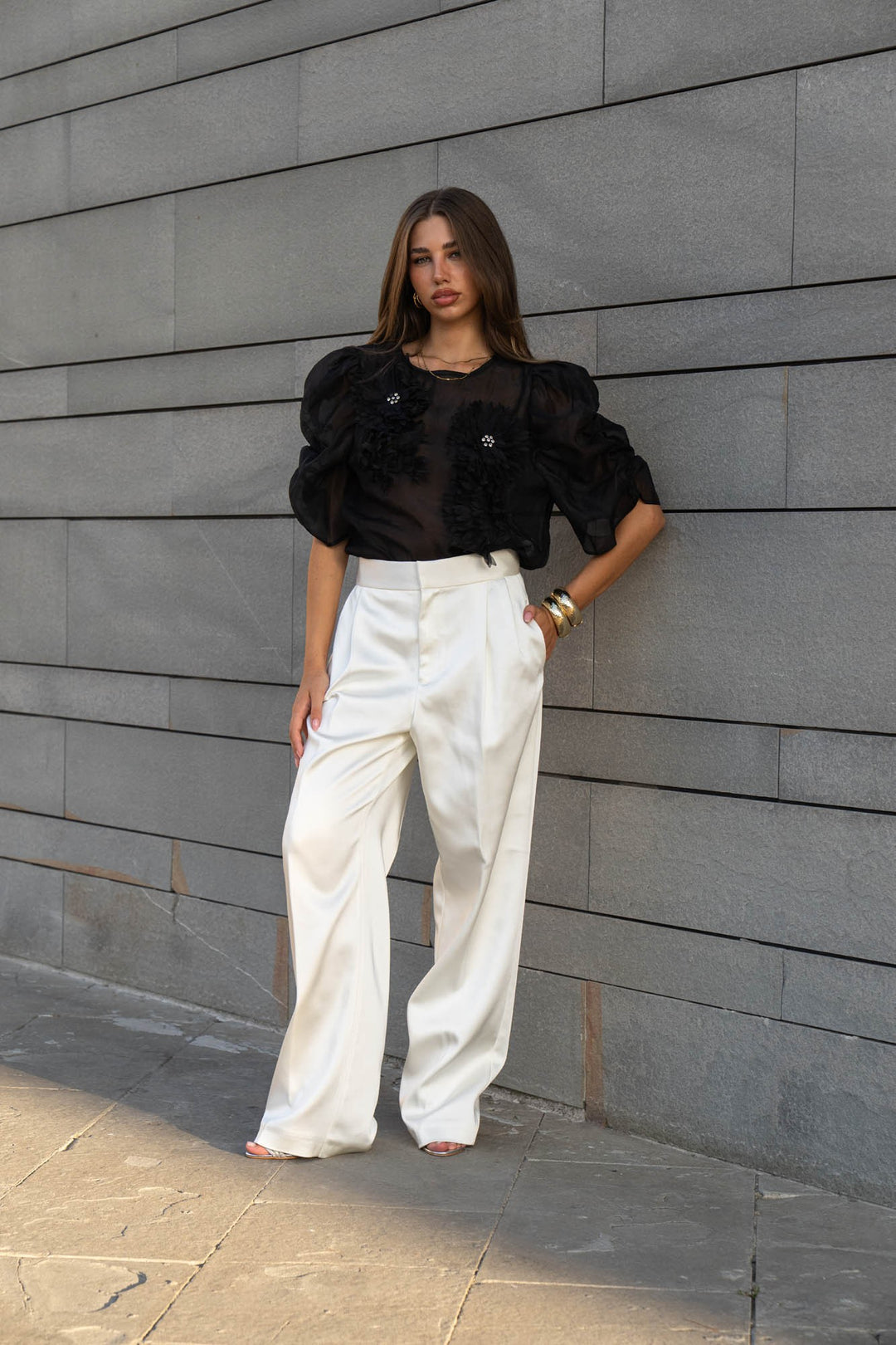 Organza Puff Sleeve Top