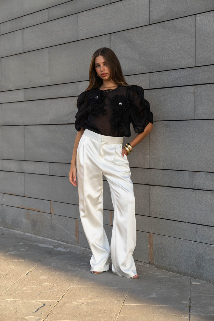 Organza Puff Sleeve Top