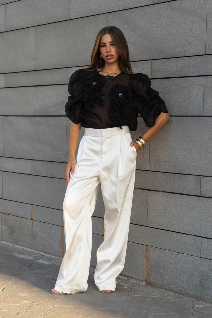 Organza Puff Sleeve Top
