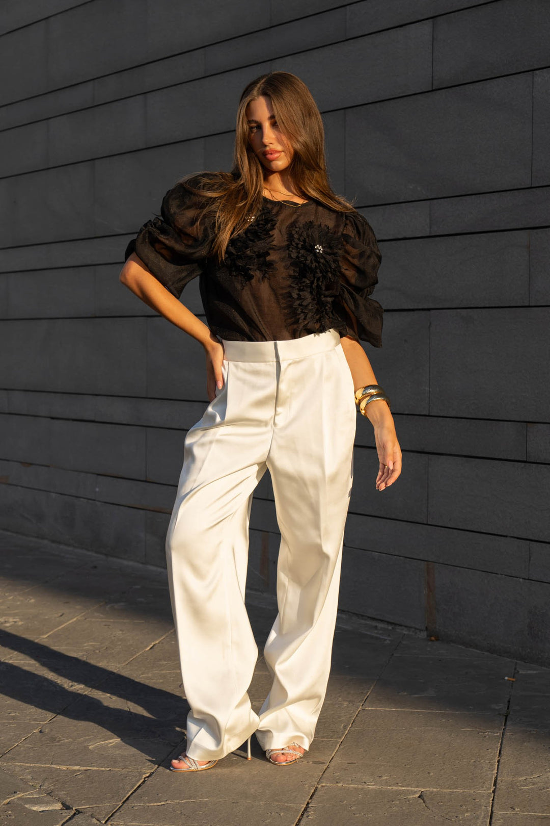 Organza Puff Sleeve Top