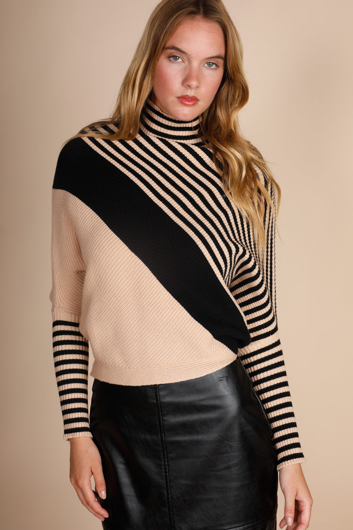 Turtle Neck Diagonal Stripes Sweater