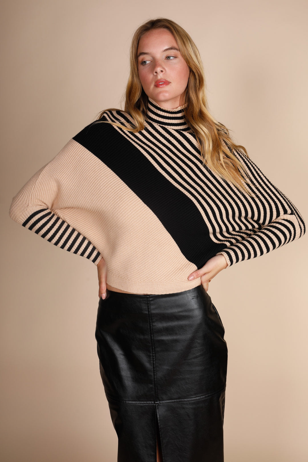 Turtle Neck Diagonal Stripes Sweater