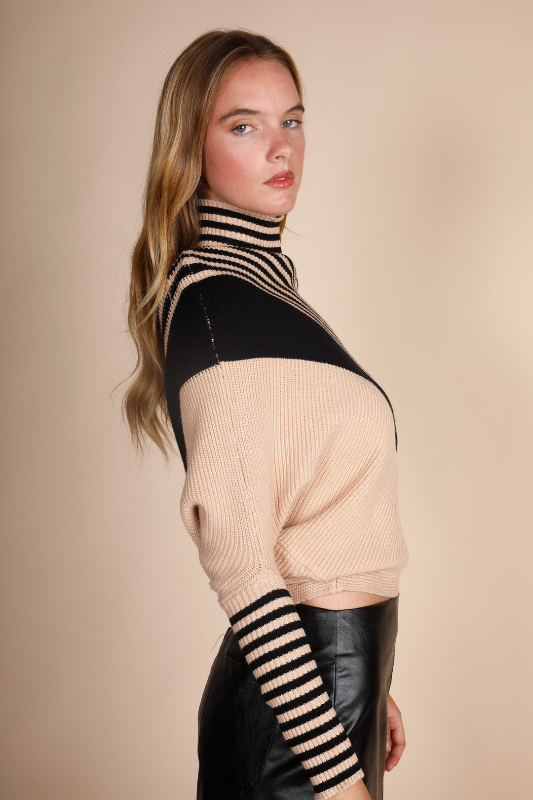 Turtle Neck Diagonal Stripes Sweater