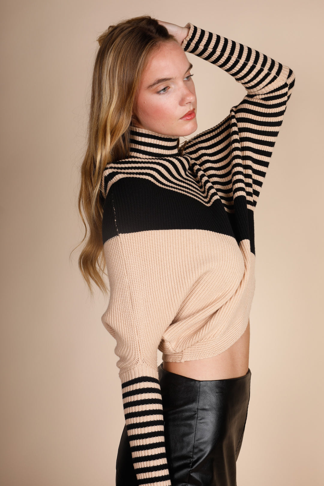 Turtle Neck Diagonal Stripes Sweater