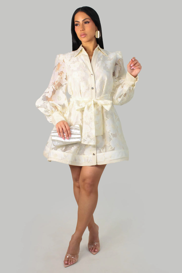 Specially For Brunch Dress