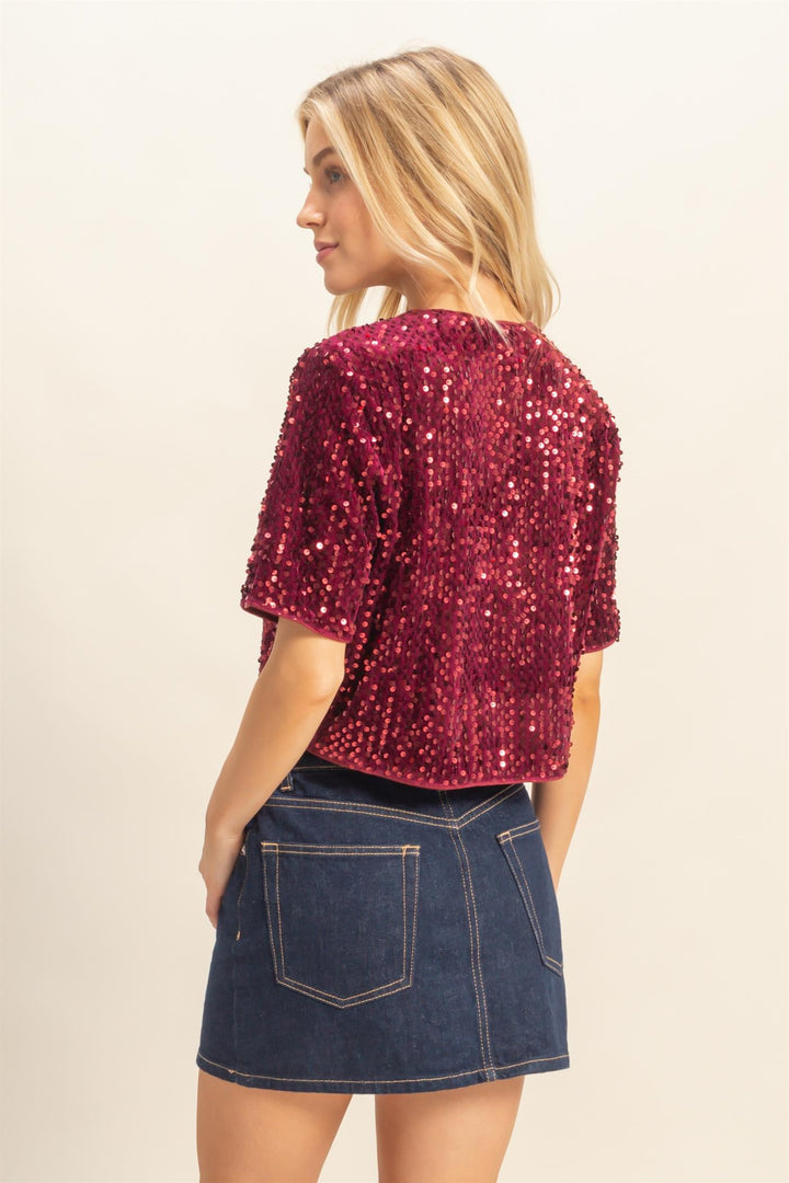 Tie Detail Sequined Crop Top
